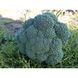 Партенон F1 - насіння капусти броколі, 1000 шт, Sakata 56765 фото 2
