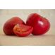 Асано F1 (КС 38 F1) - насіння томата, 1000 шт, Kitano 50331 фото 1