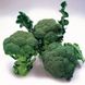 Партенон F1 - насіння капусти броколі, 1000 шт, Sakata 56765 фото 3