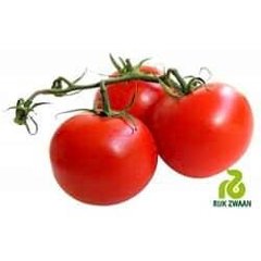 Дофу F1 - насіння томата, 100 шт, Rijk Zwaan 83400 фото