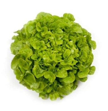 Кірінія - насіння салату, 1000 шт (драже), Rijk Zwaan 1094575415 фото