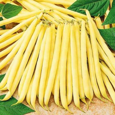 Фруидор - семена фасоли спаржевой, 500 г, Clause 17443 фото