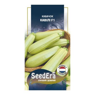 Кавили F1 - семена кабачка, 5 шт, Nunhems (SeedEra) 40401 фото