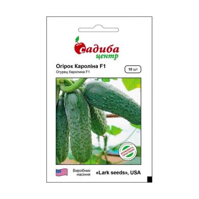 Кароліна F1 - насіння огірка, 10 шт, Lark Seeds (Садиба Центр) 69801 фото