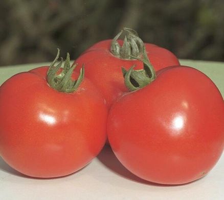 Полфаст F1 - семена томата, 1000 шт, Bejo 90903 фото