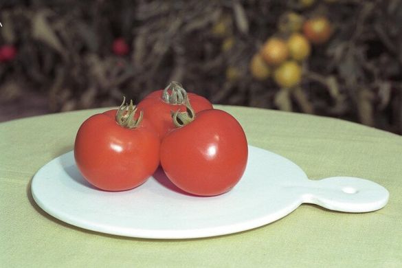 Полфаст F1 - насіння томата, 1000 шт, Bejo 90903 фото