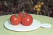 Полфаст F1 - насіння томата, 1000 шт, Bejo 90903 фото 3