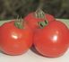 Полфаст F1 - насіння томата, 1000 шт, Bejo 90903 фото 2