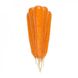 Морковь Трафорд F1, 100 000 семян (1.8-2.0), Rijk Zwaan 1091404362 фото 2