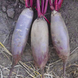Таунус F1 - семена свеклы, 10 000 шт, Bejo 13722 фото 3