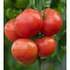 Анненфелд F1 - насіння томату, 1000 шт, Rijk Zwaan 44659 фото 3