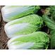 Ендуро F1 - насіння пекінської капусти, 2500 шт, Takii Seeds 98876 фото 1