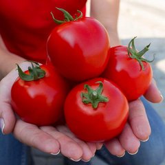 Асвон F1 - насіння томата, 10 000 шт, Kitano 57488 фото
