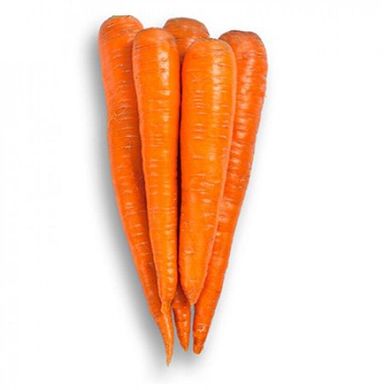 Морковь Вармия F1, 25 000 семян (1.6-1.8), Rijk Zwaan 1091424200 фото