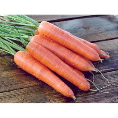 Аттіліо F1 - насіння моркви, 100 000 шт, Hazera 44508 фото