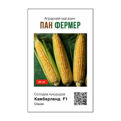 Камберленд F1 - семена кукурузы, 50 шт, Clause (Пан Фермер) 21268 фото
