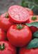 Томск F1 - насіння томата, 1000 шт, Bejo 90908 фото 3
