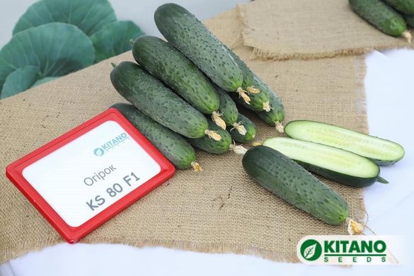 Сінклен F1 (КС 80 F1) - насіння огірка, 500 шт, Kitano 32416 фото