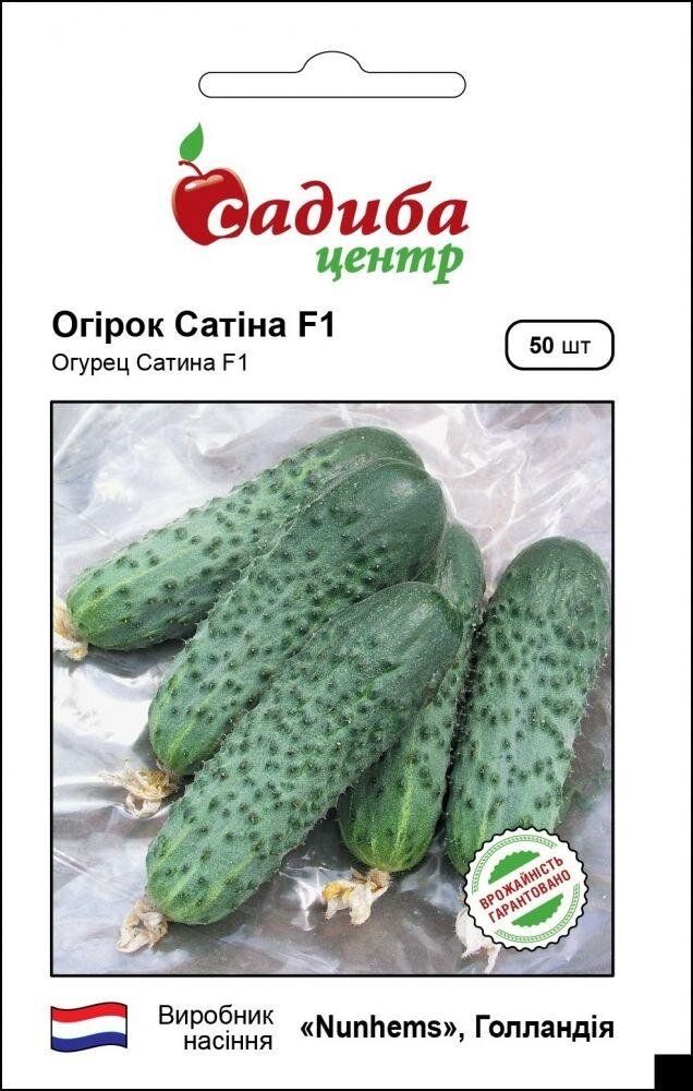 Огурцы сатина описание сорта фото