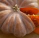 Мускат де Прованс - насіння гарбуза, 500 г, Clause 56139 фото 1