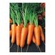 Морковь Вармия F1, 25 000 семян (1.6-1.8), Rijk Zwaan 1091424200 фото 3