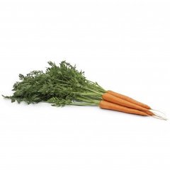 Морковь Вармия F1, Rijk Zwaan описание, фото, отзывы
