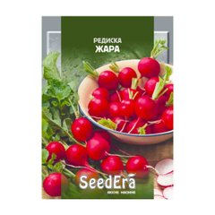 Жара - насіння редиски, Seedera опис, фото, відгуки