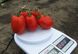 Пьетра Росса F1 - насіння томата, 25 000 шт, Clause 24115 фото 1