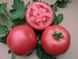 ВП-2 F1/ VP-2 F1 - насіння томата, 250 шт, Hazera 20840 фото 1