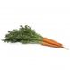 Морковь Вармия F1, 100 000 семян (1.8-2.0), Rijk Zwaan 1091436609 фото 1