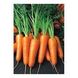 Морковь Вармия F1, 100 000 семян (1.8-2.0), Rijk Zwaan 1091436609 фото 3