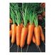 Морковь Вармия F1, 100 000 семян (1.6-1.8), Rijk Zwaan 1091431181 фото 3