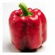 Крусадер F1 - насіння солодкого перцю, 500 шт, Syngenta 59101 фото 1