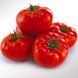 КС 206 F1 - насіння томата, 500 шт, Kitano 50343 фото 3