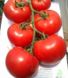 Махітос F1 - насіння томата, 1000 шт, Rijk Zwaan 43544 фото 3