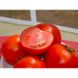 Бобкат F1 - насіння томата, 1000 шт, Syngenta 90140 фото 1