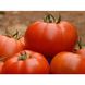 Белле F1 - насіння томата, 500 шт, Enza Zaden 05054 фото 1