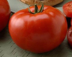 Черокі F1 - насіння томата, 1000 шт, Esasem 75632 фото