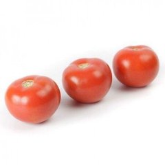 Аламіна F1 - насіння томата, 100 шт, Rijk Zwaan 97334 фото