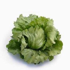 Айс Сіркл (драже) - насіння салату, 5000 шт, Syngenta 66501 фото