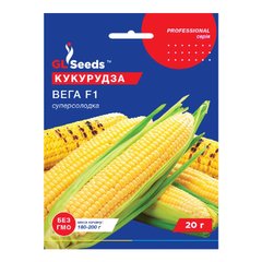 Вега F1 - насіння кукурудзи, 20 г, GL Seeds 10413 фото