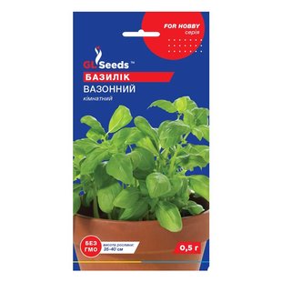 Вазонний - насіння базиліка кімнатного, 0.5 г, GL Seeds 14244 фото