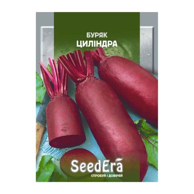 Цилиндра - семена свеклы, 20 г, SeedEra 02451 фото