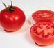 ГС 12 F1 - насіння томата, 2500 шт, Syngenta 670990139 фото 2