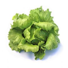 Айс Вейв (драже) - насіння салату, 5000 шт, Syngenta 66601 фото