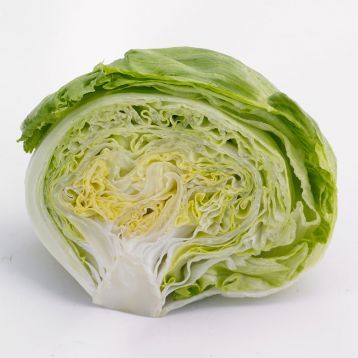 Айс Вейв (драже) - насіння салату, 5000 шт, Syngenta 66601 фото
