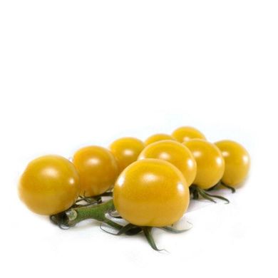 КС 3670 F1 - насіння томата, 250 шт, Kitano 904757487 фото