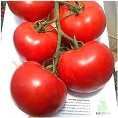 Аламіна F1 - насіння томата, 1000 шт, Rijk Zwaan 00718 фото
