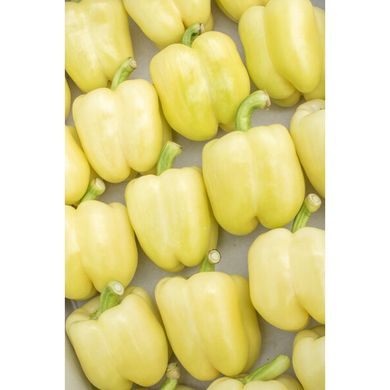 Бурабелла F1 - семена сладкого перца, 100 шт, Rijk Zwaan 44986 фото