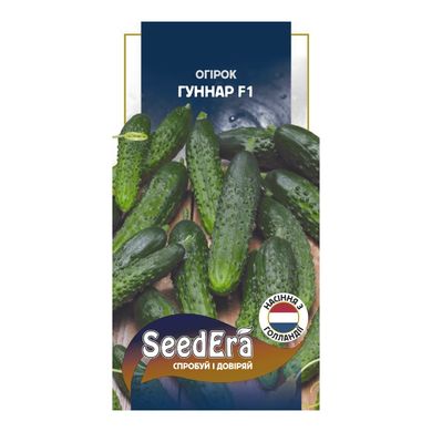 Гуннар F1 - насіння огірка, 10 шт, Enza Zaden (SeedEra) 34773 фото
